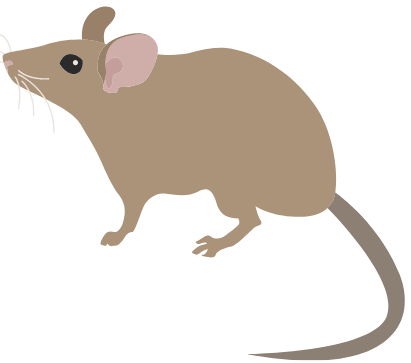 Farnham Pest Control